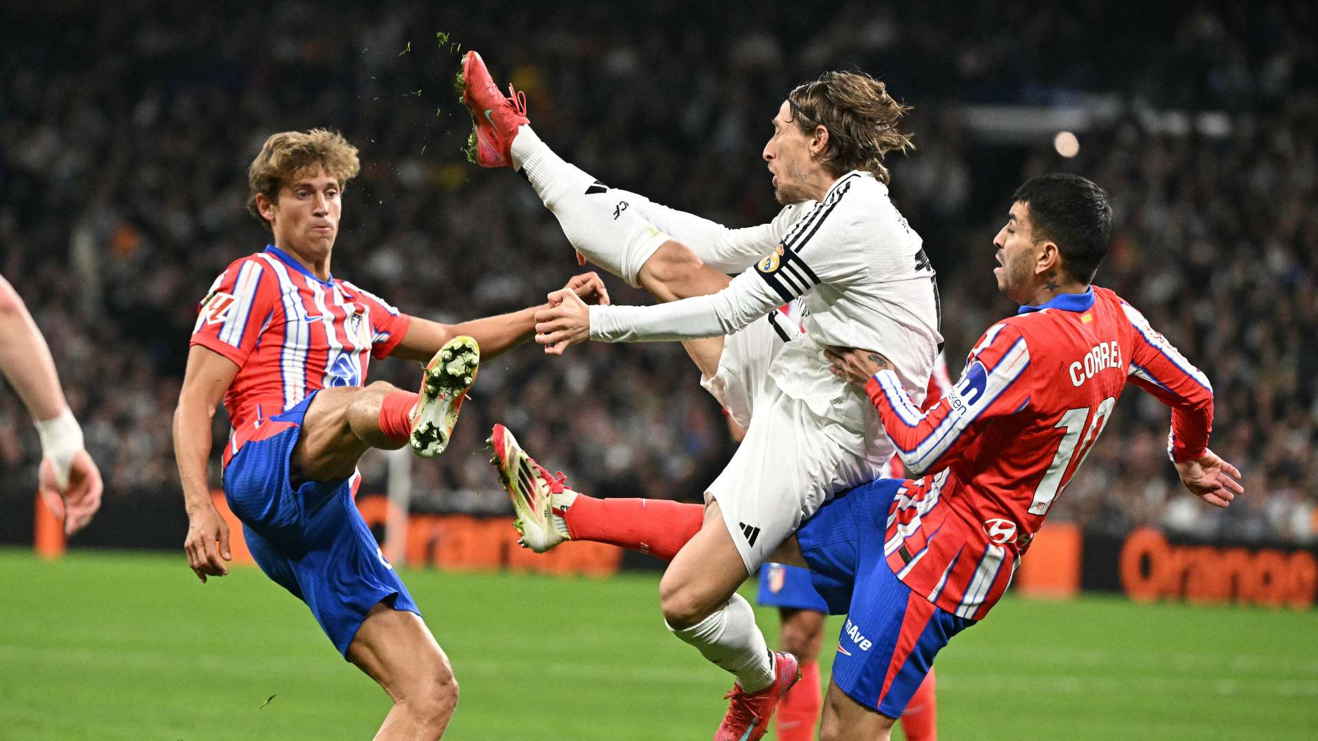 历史证明 历史证明